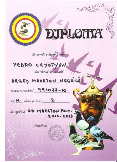 517219C9 - DIPLOME 2013