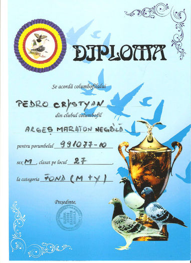 38914946 - DIPLOME 2013