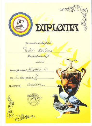 E1755E86 - DIPLOME 2013