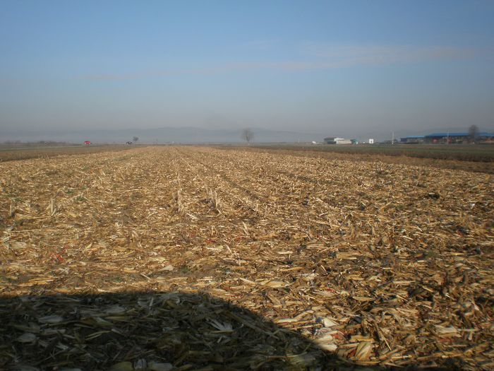 PB161229 - Modificare porumbar 2013