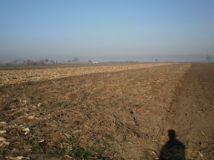 PB161231 - Modificare porumbar 2013