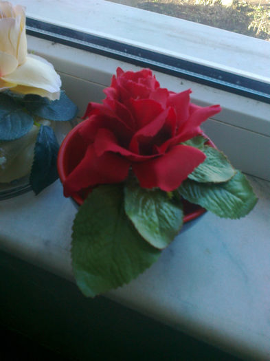 Fotografie0576 - flori artificiale