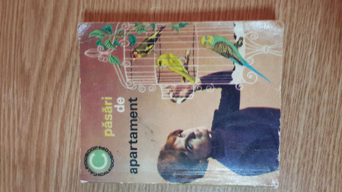 20140221_104344 - cartile mele