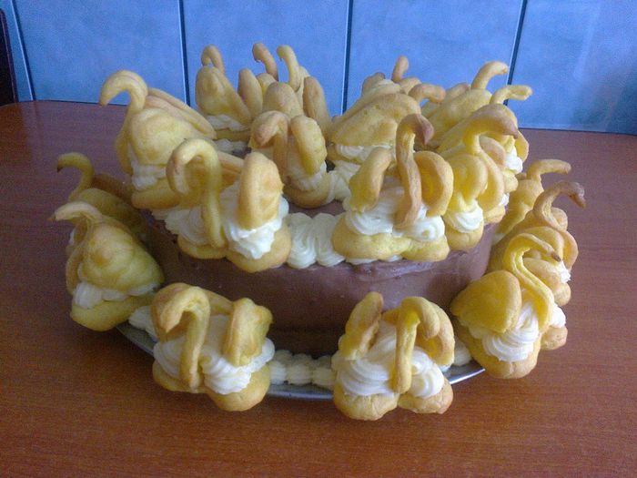 Tortul Lebedelor -  cu crema de vanilie si ciocolata - Culinar 2