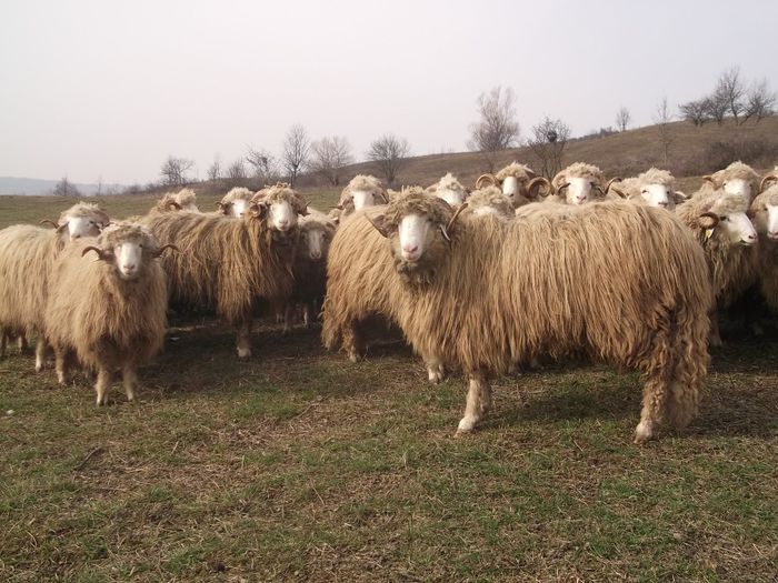 Picture 1806 - Carlani 2013-2014