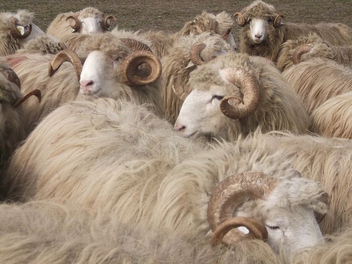 Picture 1811 - Carlani 2013-2014