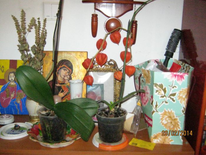 Picture 274