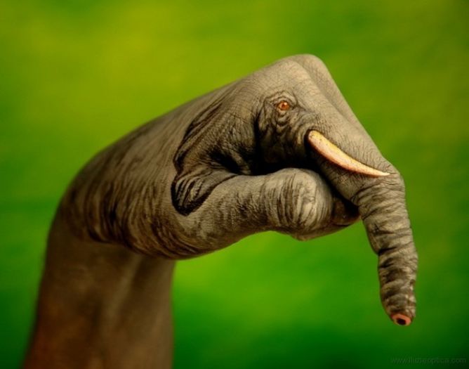 handimal-elefant - ELEFANT DIN----- GHICITI SI SPUNETI DIN CE E