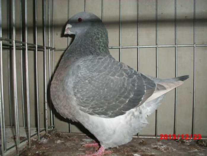 0-1   1428 2013 NICK