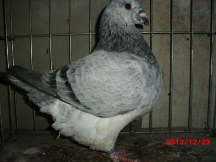 0-1   1538 2013 NICK