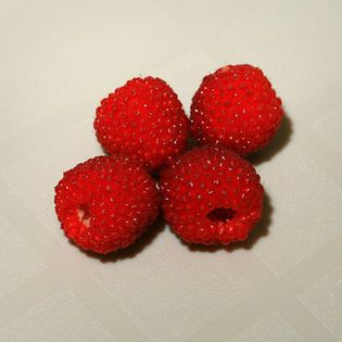 Rubus-rosifolius-4 - zmeura-capsuna