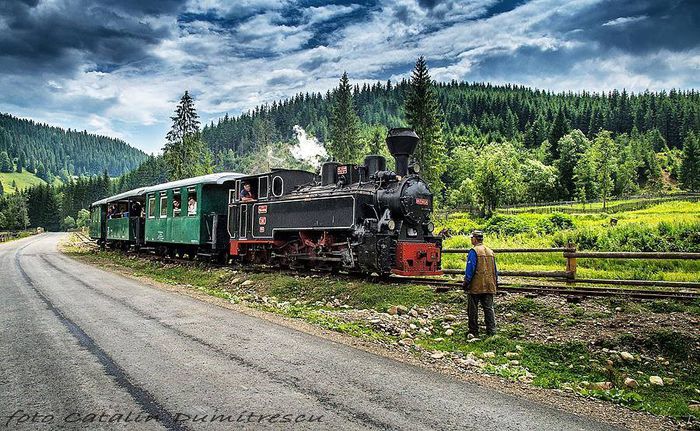 1238139_658332164231242_1265299047_n