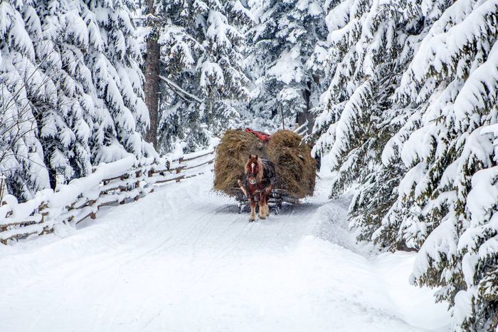 1559554_655840524480406_1528313501_o