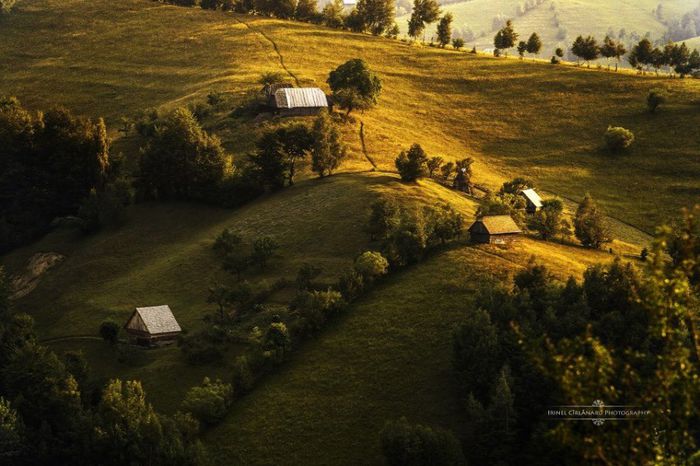 1896743_654130544651404_381270244_n