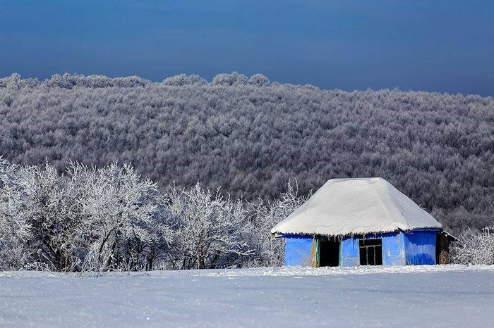 1902899_658900170841108_475947859_n