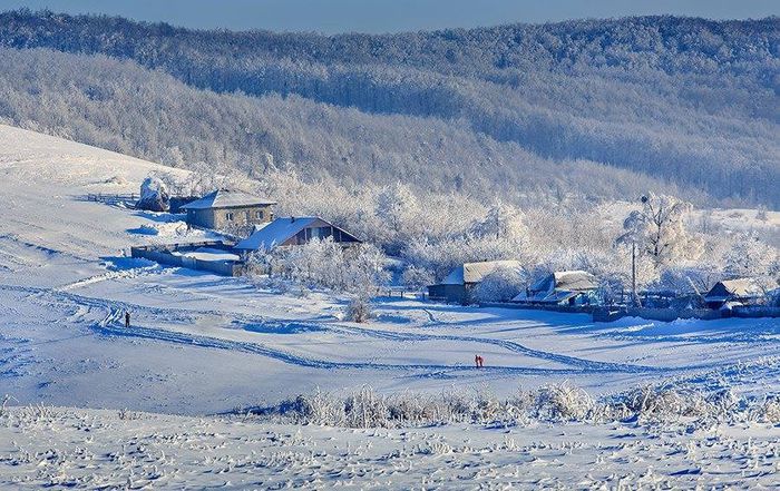 1926859_662845920446533_2028665274_n