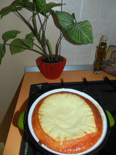 BUDINCA DE GRIS - GUSTOSENII