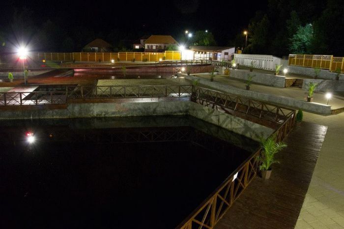 Statiunea-Sacelu 3013