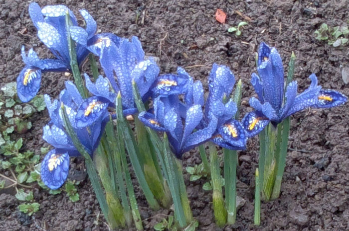 2014-02-22burita peste ei 2014-02-22burita peste ei