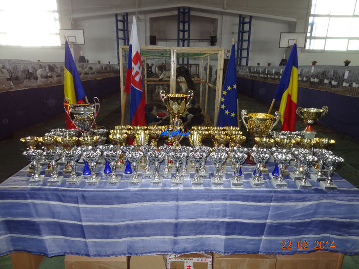 DSC06278 - u EXPO BRASOV 2014