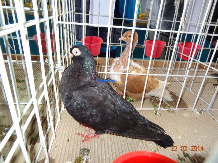 DSC06325