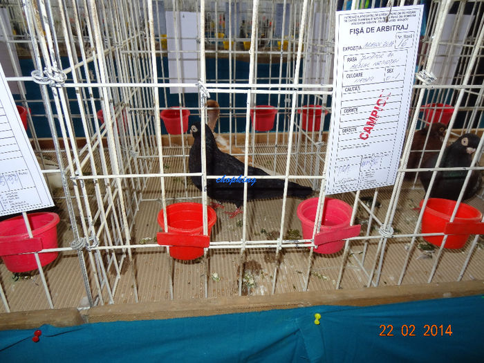 DSC06326