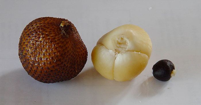 Salak-fruct; (Salacca zalacca)fruct,fruct fara coaja,simbure;are marimea unei smochine
