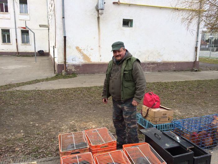 image - Brasov 2014 21-23 Februarie