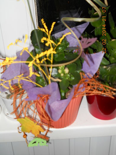 038 - FEBRUARIE 2014