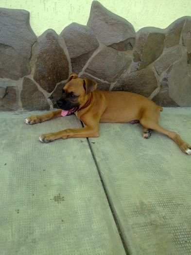 08072012667; In tinerete...
