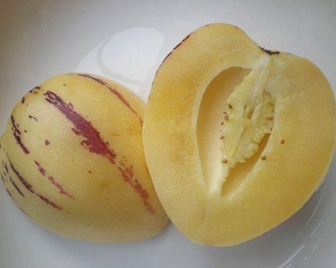 pepino-fruct; (Solanum muricatum)are gust de pepene galben si para
