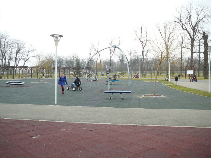 P1530103 - 2014 - 22_februarie