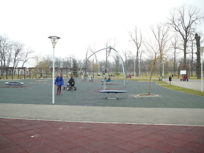 P1530104 - 2014 - 22_februarie