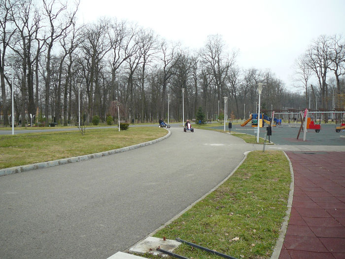P1530106 - 2014 - 22_februarie