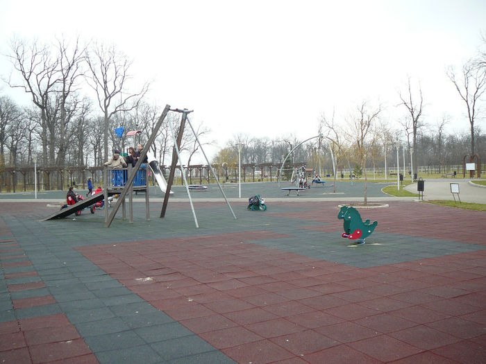 P1530129 - 2014 - 22_februarie