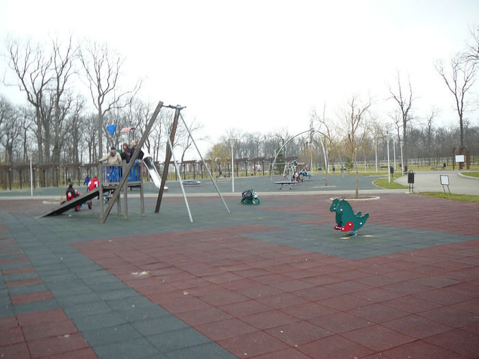 P1530130 - 2014 - 22_februarie
