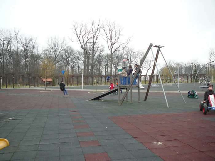 P1530131 - 2014 - 22_februarie