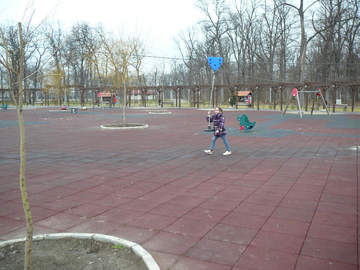 P1530171 - 2014 - 22_februarie