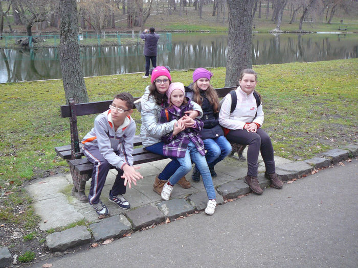 P1530273 - 2014 - 22_februarie