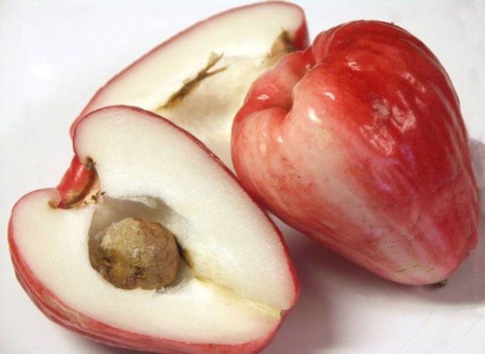 Ohia-fruct; (Syzygium malaccense)
