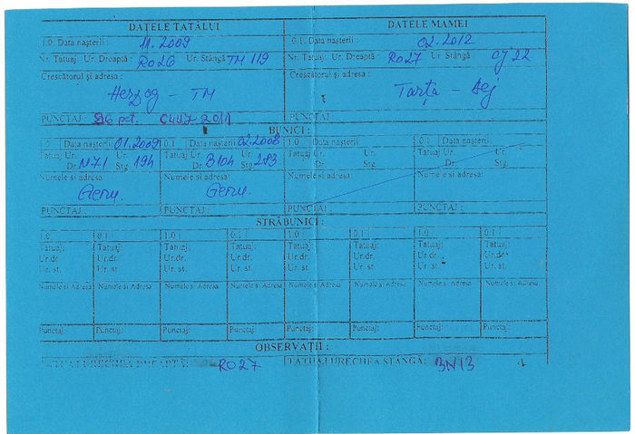 certificat de origine