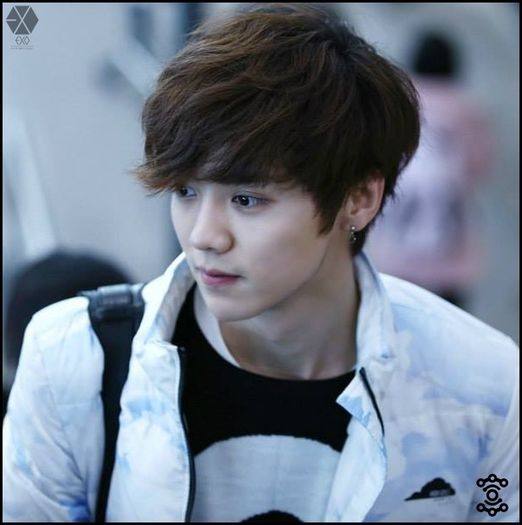 140203 LuHan @ Beijing Airport & Incheon Airport.24