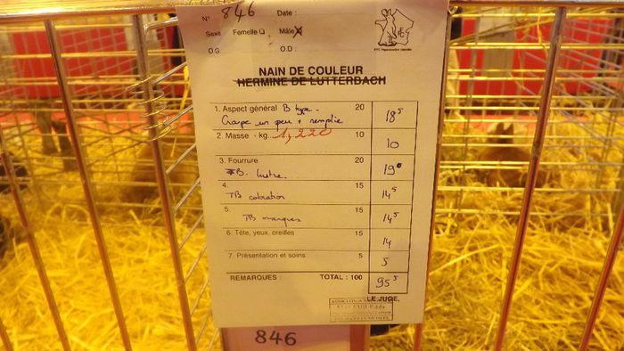 DSCF0213 - salon international de agricultura paris 2014 iepuri