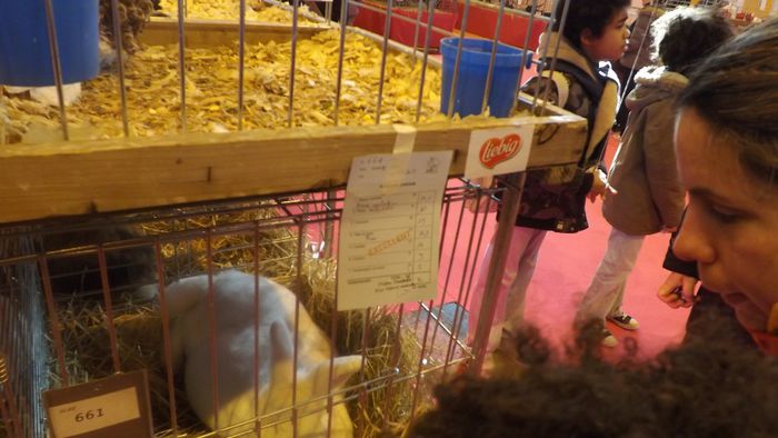 DSCF0306 - salon international de agricultura paris 2014 iepuri