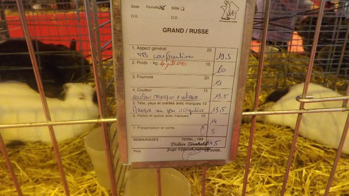DSCF0326 - salon international de agricultura paris 2014 iepuri