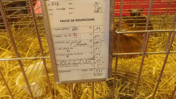 DSCF0328 - salon international de agricultura paris 2014 iepuri