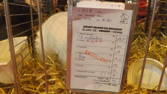 DSCF0350 - salon international de agricultura paris 2014 iepuri