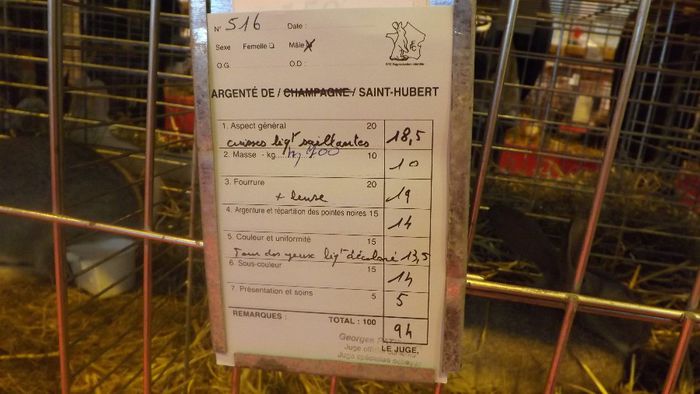 DSCF0359 - salon international de agricultura paris 2014 iepuri