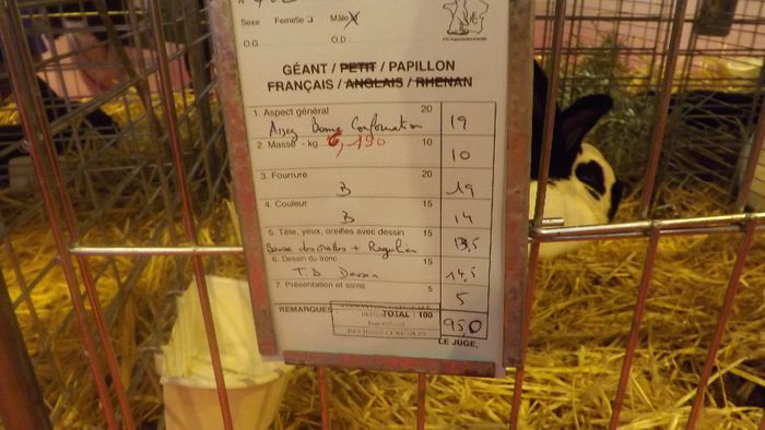 DSCF0381 - salon international de agricultura paris 2014 iepuri