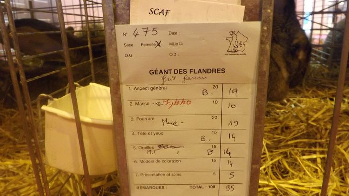 DSCF0392 - salon international de agricultura paris 2014 iepuri